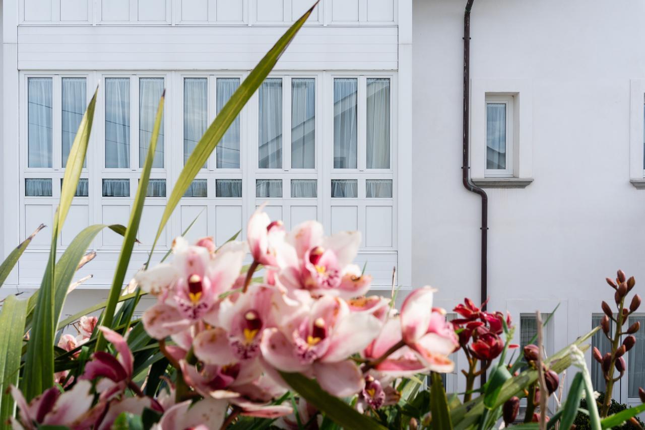 La Casa De Las Camelias Busto Εξωτερικό φωτογραφία